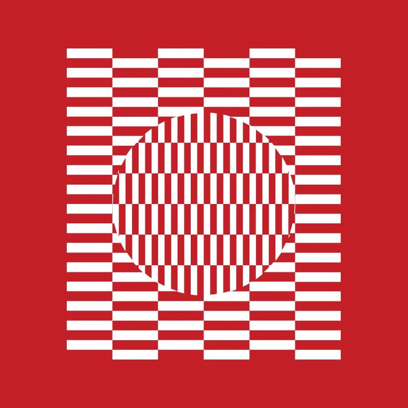 Visual grid perception illusion imagination