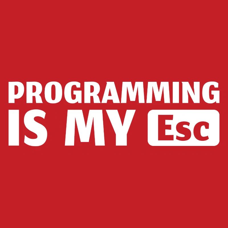 Informatik IT Programmierer