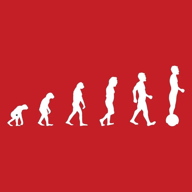 Gyroroue Evolution