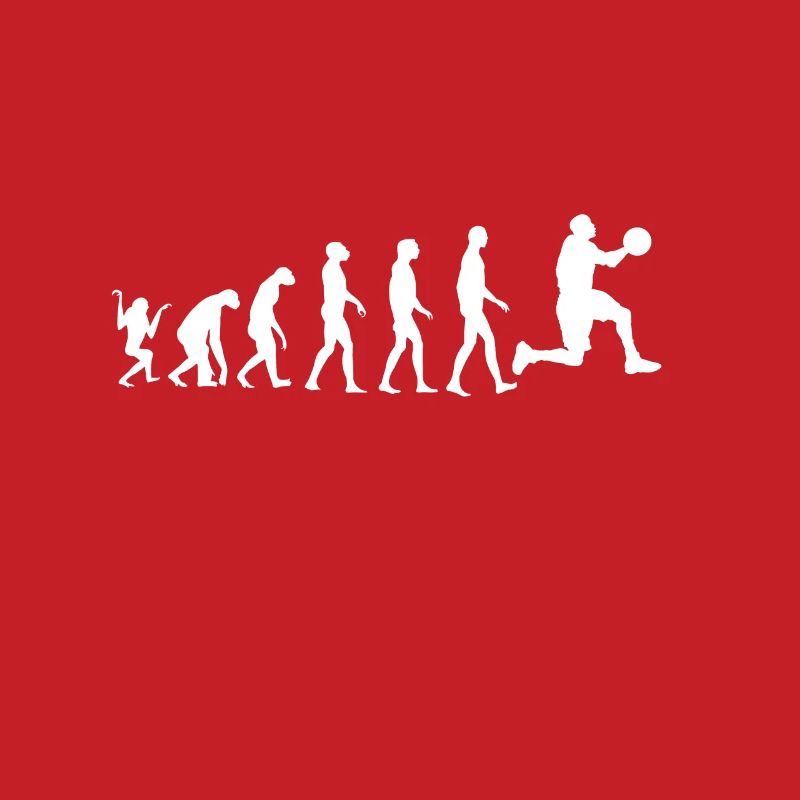 Evolution du basket