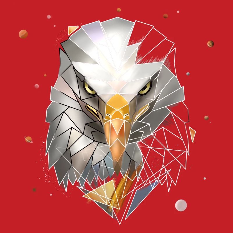 Bald Eagle | Low Poly Art | Cool polygon