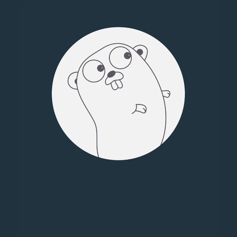 Golang Gopher Programmierer T-Shirt