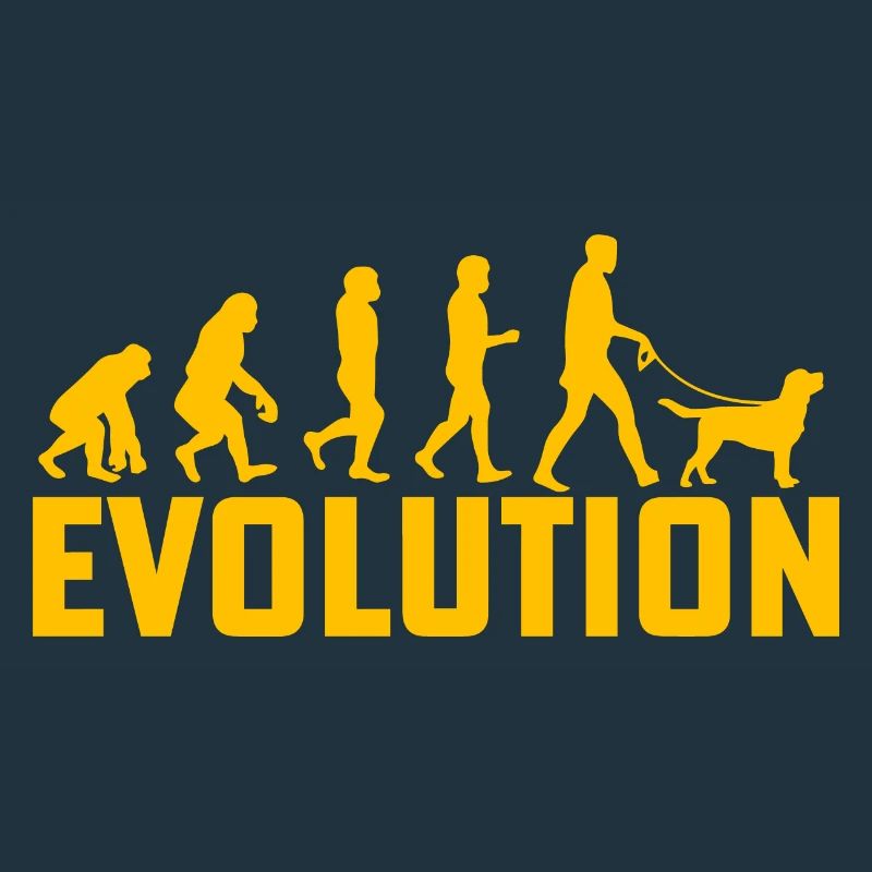 Évolution du Labrador