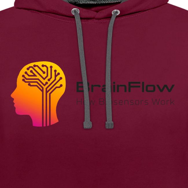 BrainFlow Logo With Text