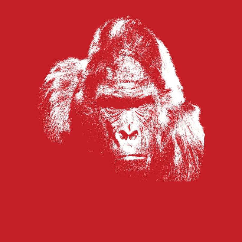 Gorilla silverback monkey