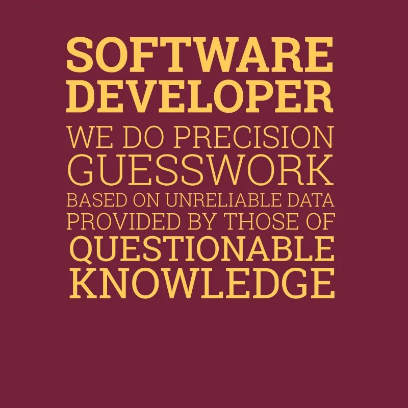 "Software Developer" | Programmierer