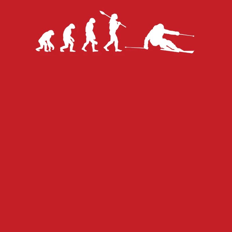 Ski Evolution design unique