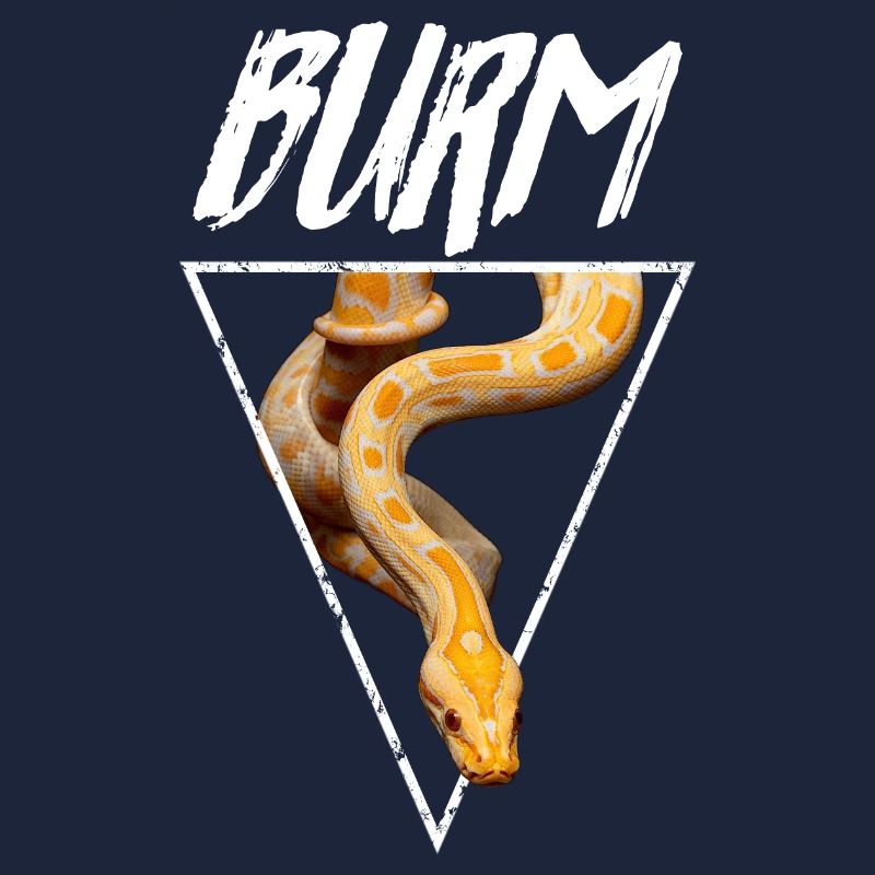 Albino Birmese Python Snake Owner