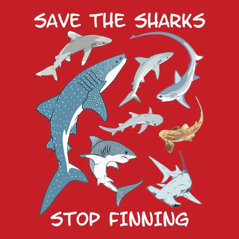 Types de requins Espèces de requins