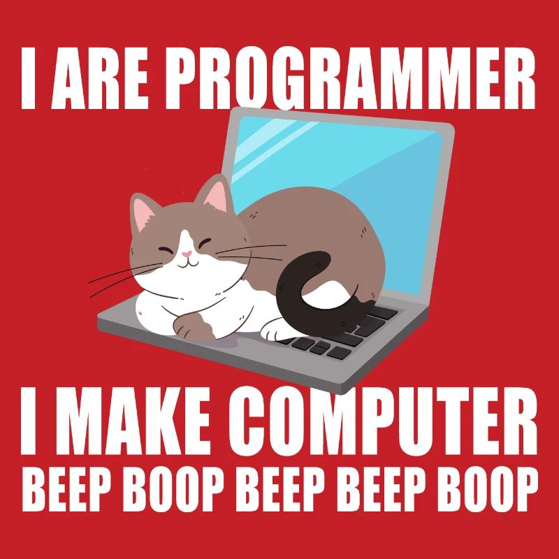 I are programmer