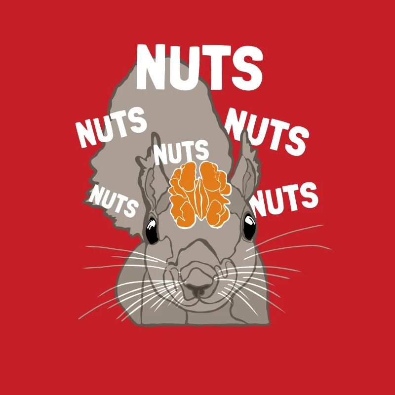 Nuts Brain Fox Squirrel Grey Squirrel