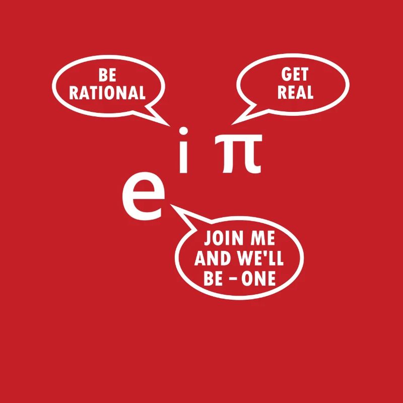 Mathematician Gift Math Teacher Nerd Euler Pi