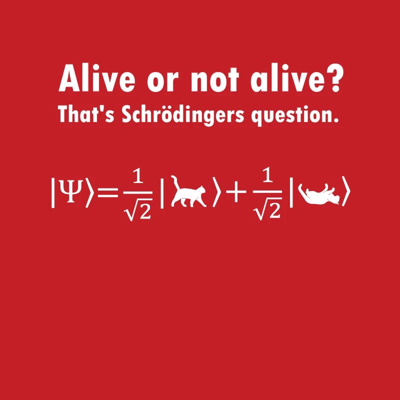 Schrödinger's Cat - Physicist Gift Physics Nerd