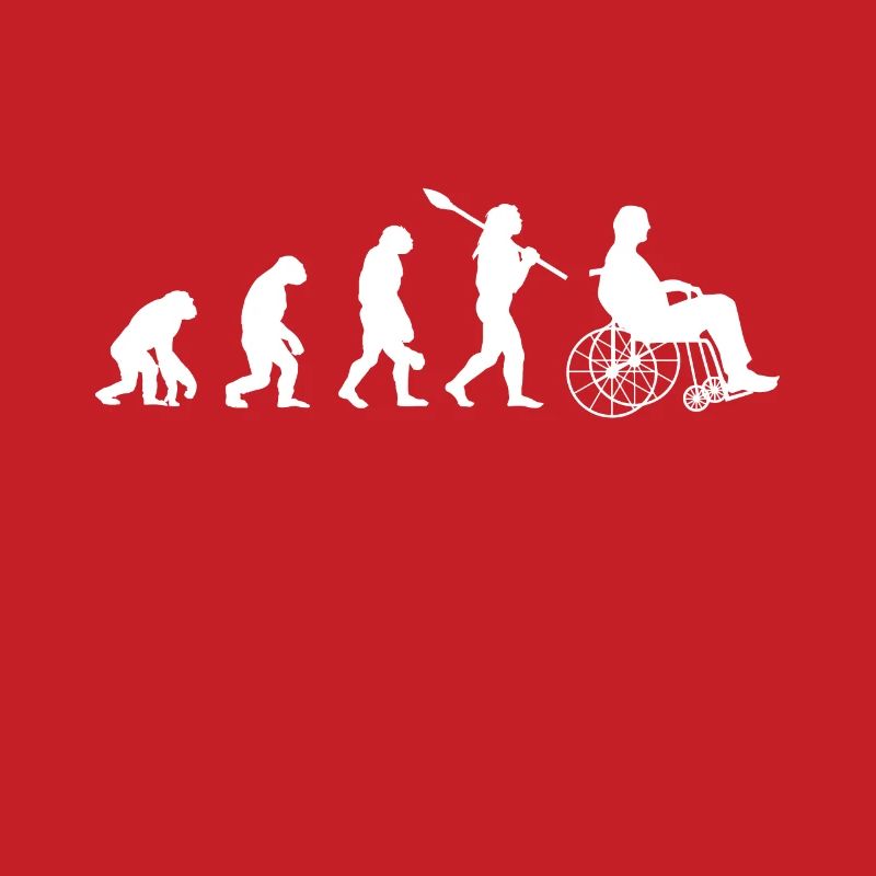 Rollstuhl Evolution Handicap Motivation