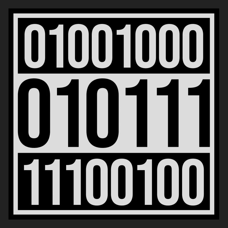 Binary Code Program Language
