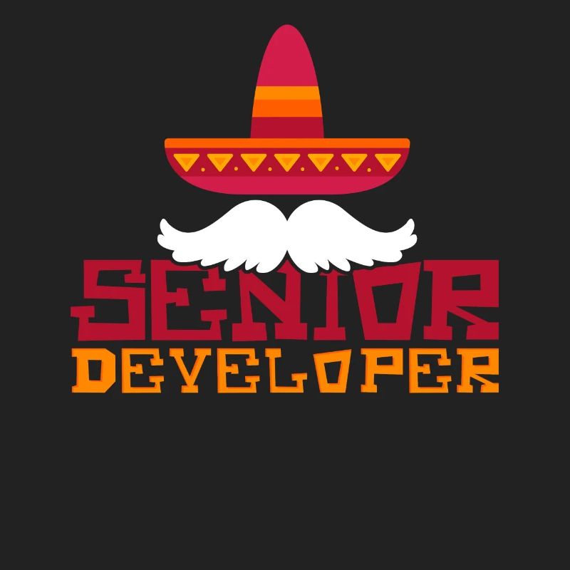 Senior Developer Programming Programmer