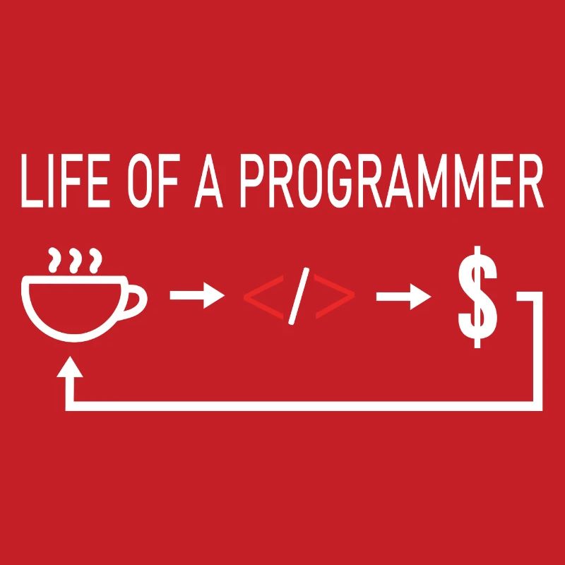 Informatiker Life of a programmer coder coding