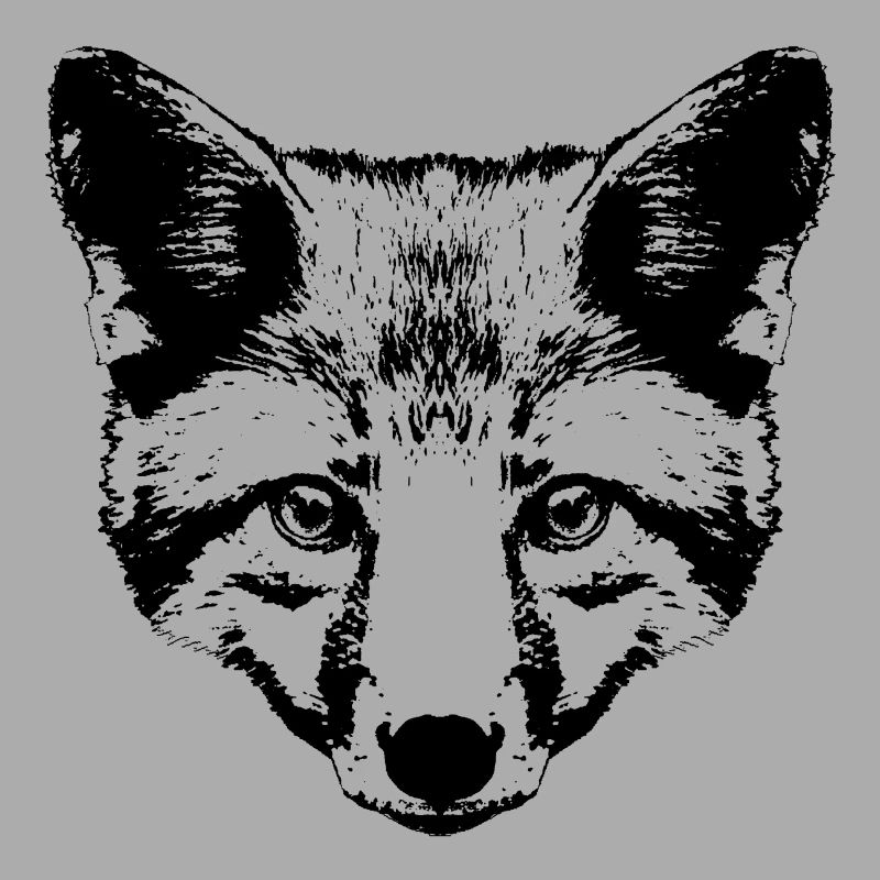 Fox Head Graphic