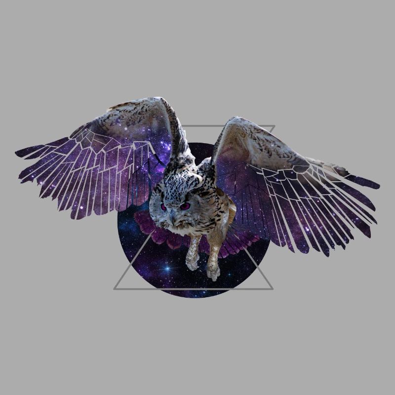 Hibou de l’espace