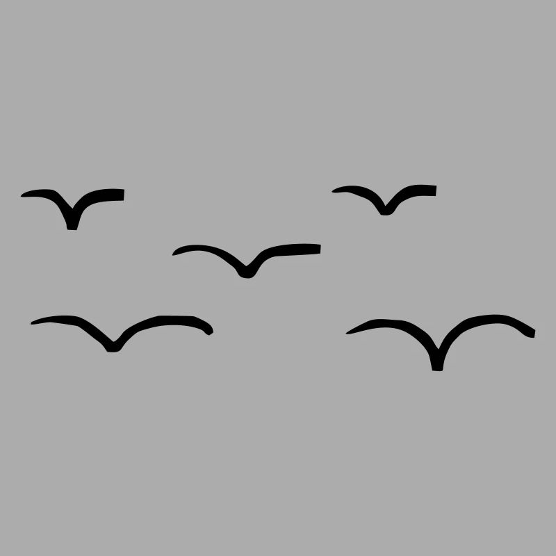 5 Vögel