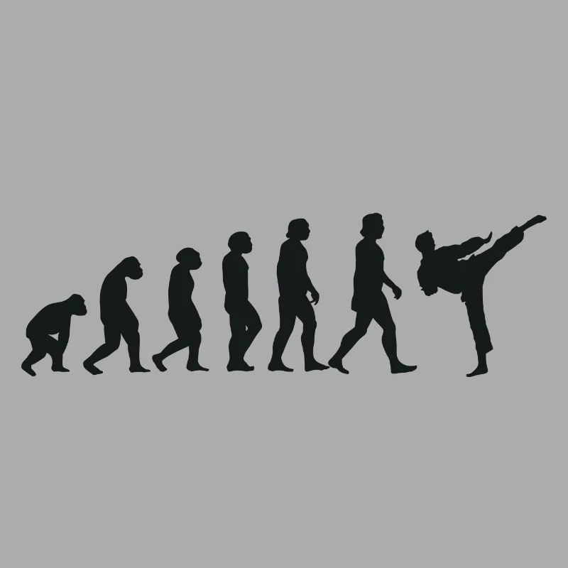 Évolution du karaté