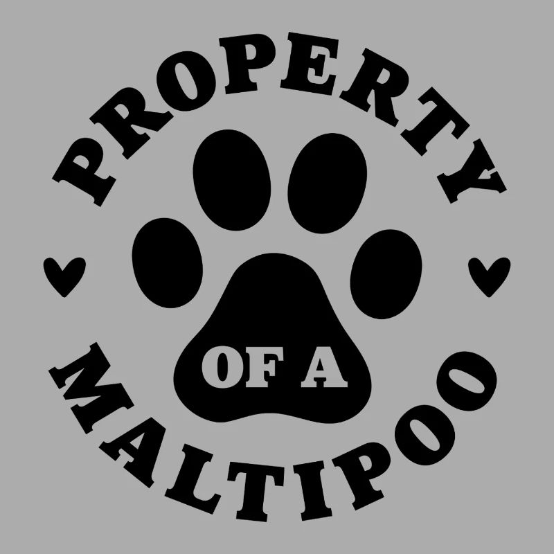 Eigentum eines Maltipoo