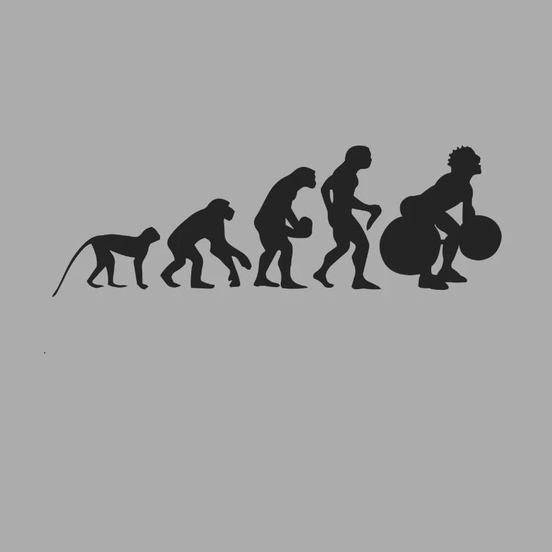 Evolution Gewichtheben