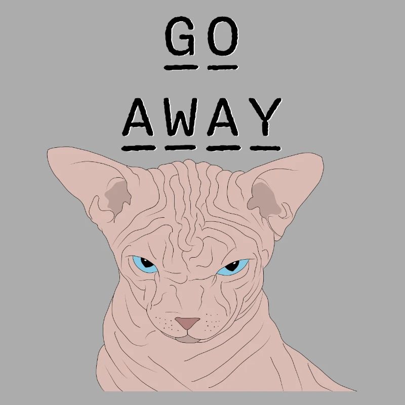 Grumpy sphynx - go away