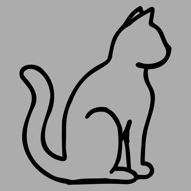 Chaton maison chat chat chaton