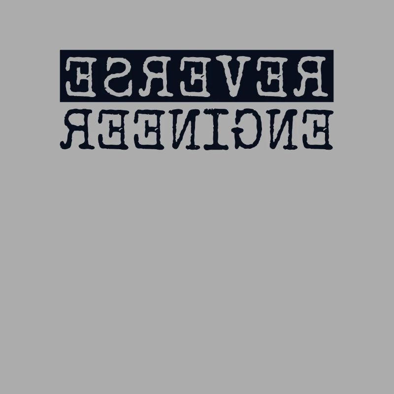 Reverse Engineer Softwareingenieur Developer