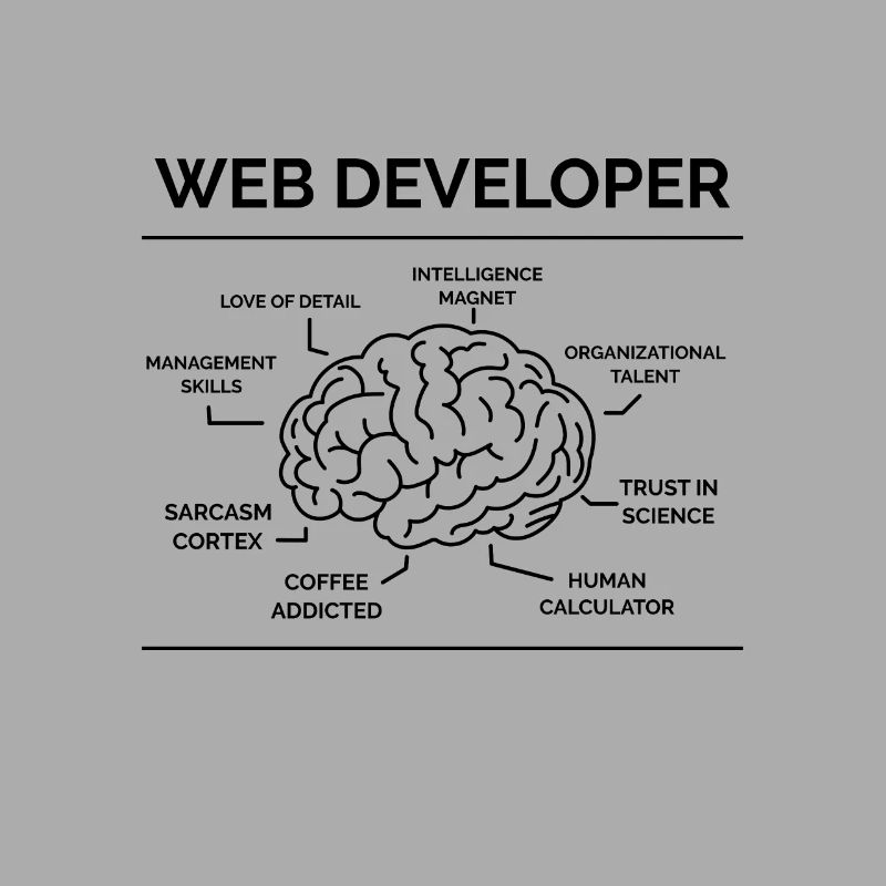 Web Entwickler Programmierer