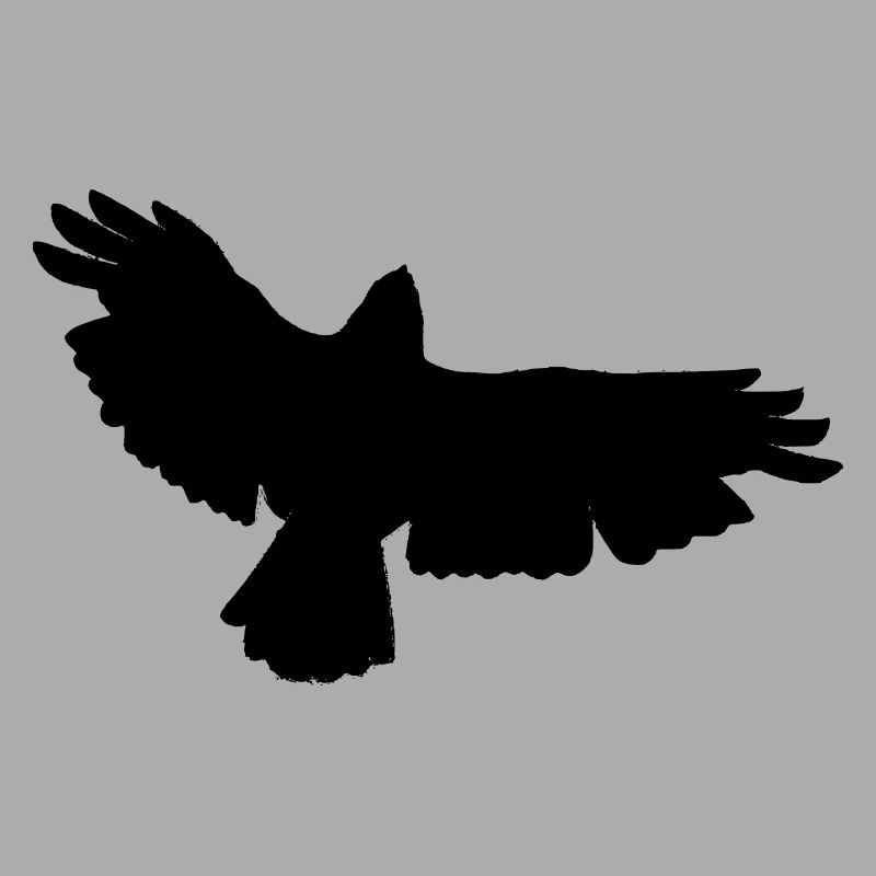 Conception d'oiseau de proie