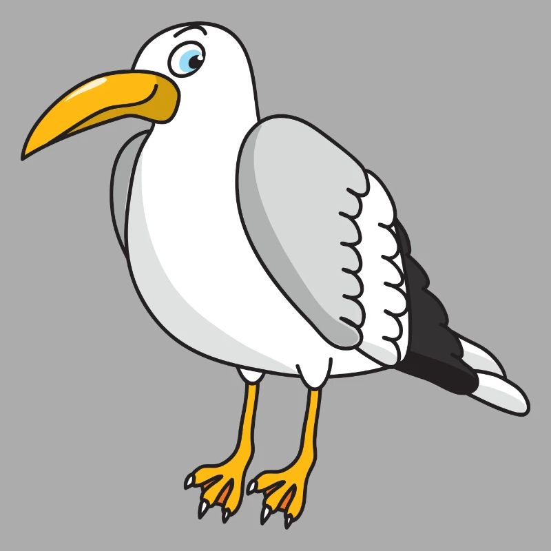 Möwe