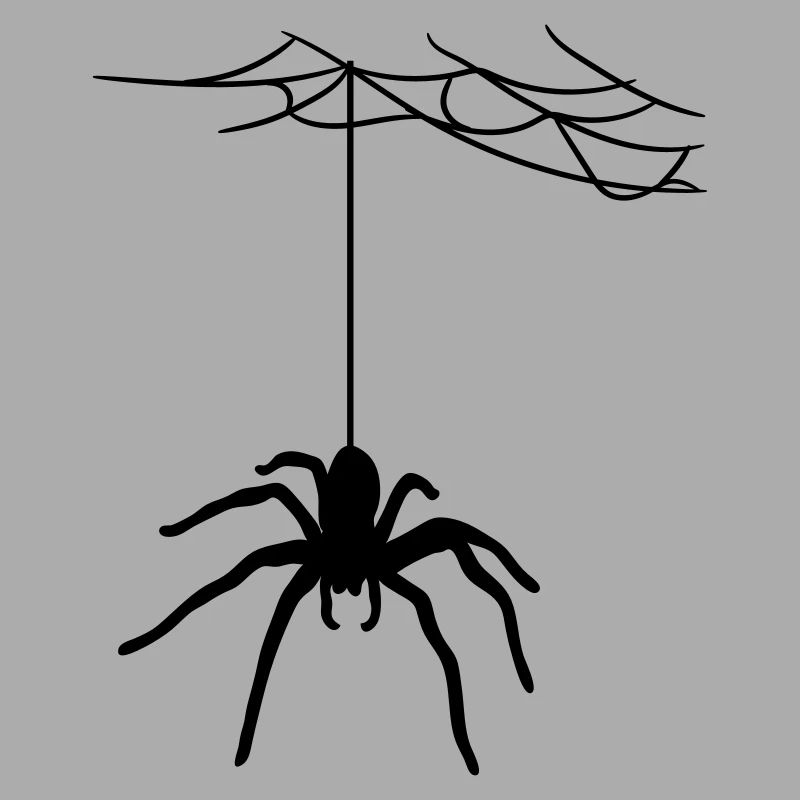 bland cobweb spider cobwebs large