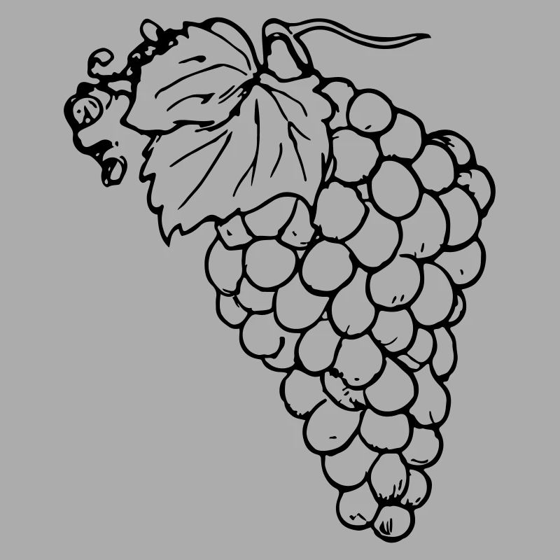 Grape Grapes Illustration Vector Gift Idea