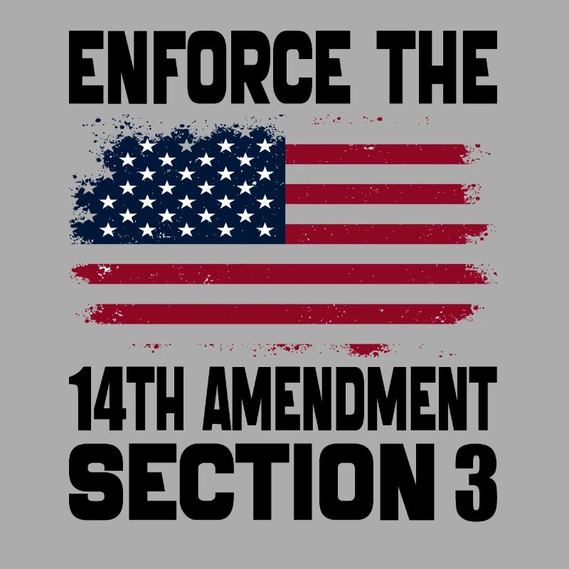 Enforce The 14TH Amendment Section 3