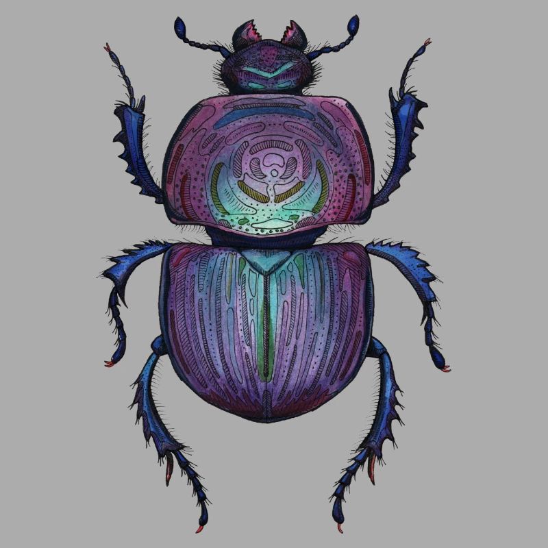 Big Beetle - Coléoptère géant