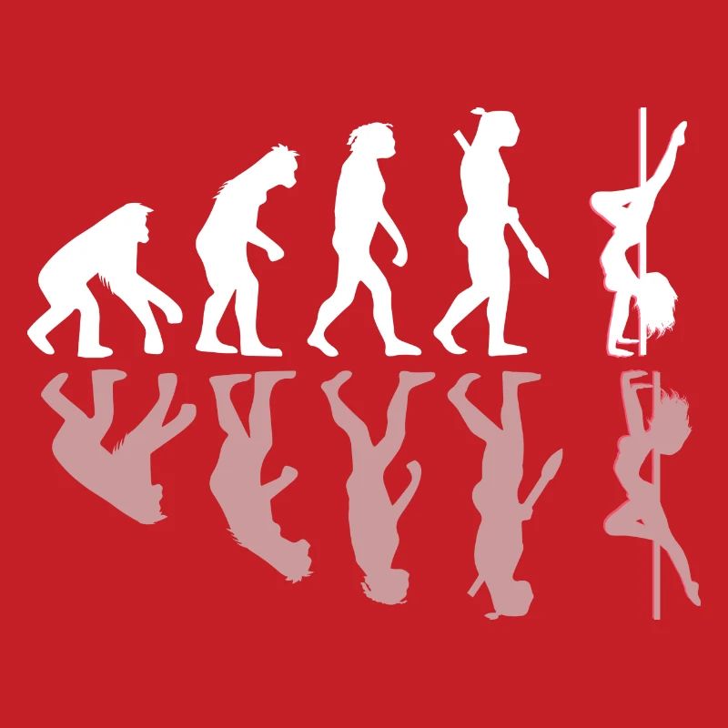 Pole dance evolution gift shadow