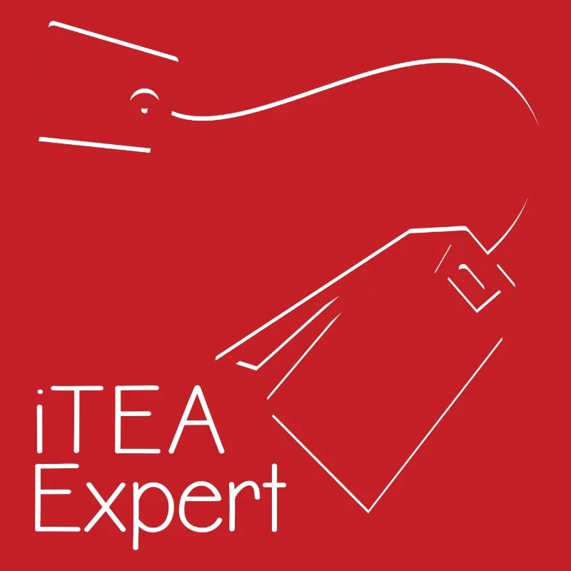 Informatiker Spruch It Experte Computer Nerd Admin