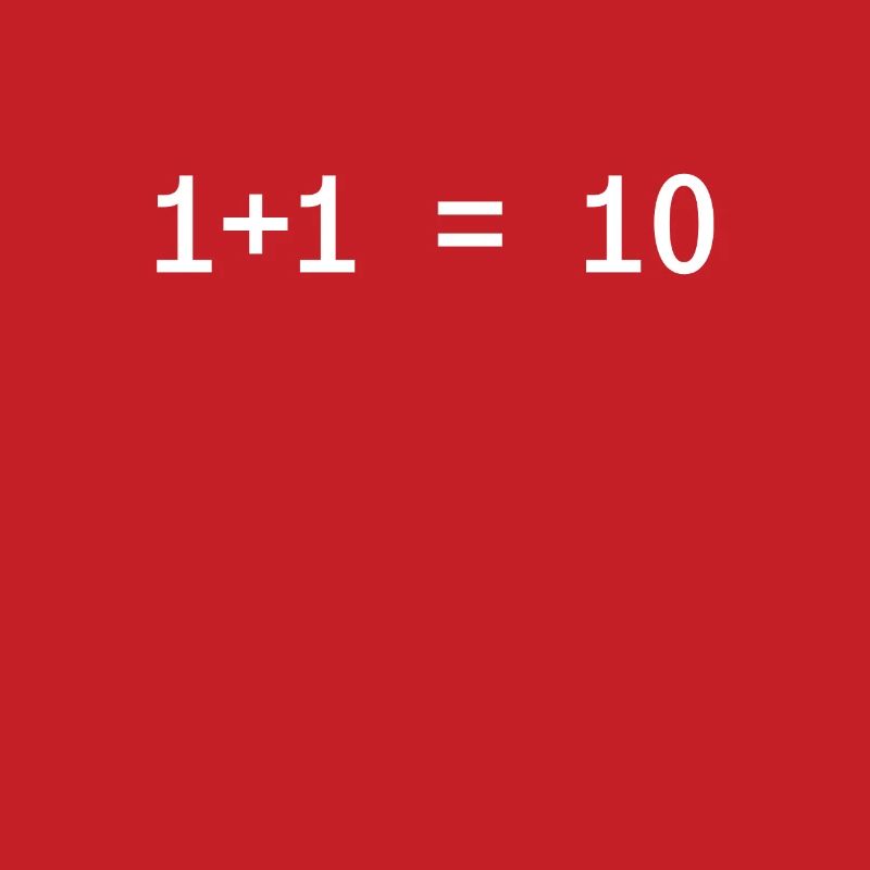 1 + 1 = 10 Funny Programmer Computer Science