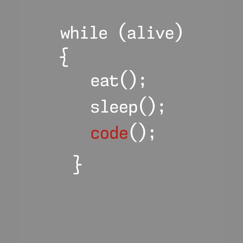 Administrateur Coding Geek Programmeur