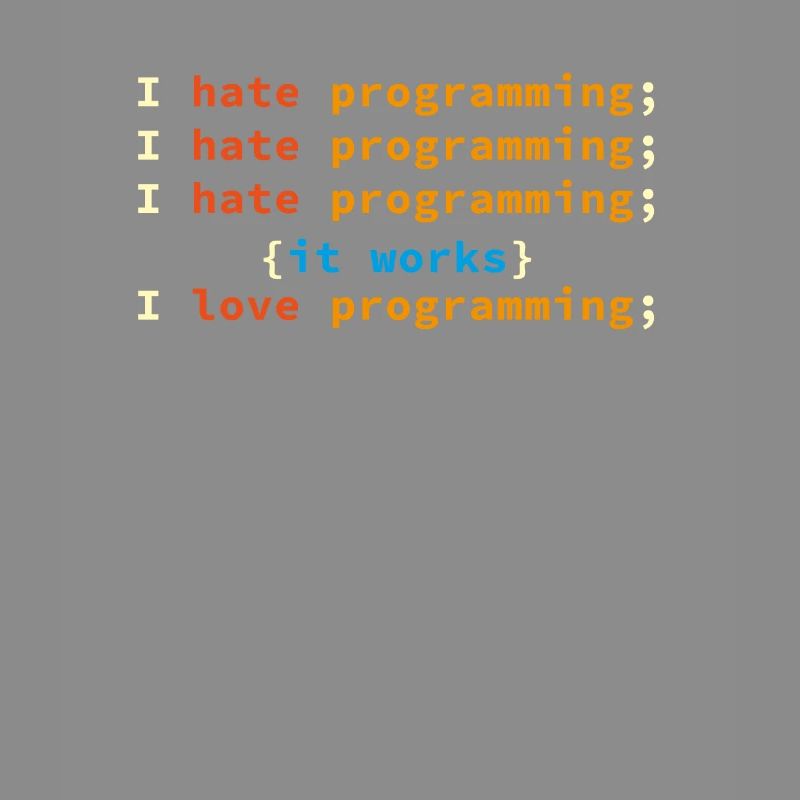 Programmer Developer Computer Scientist Geek