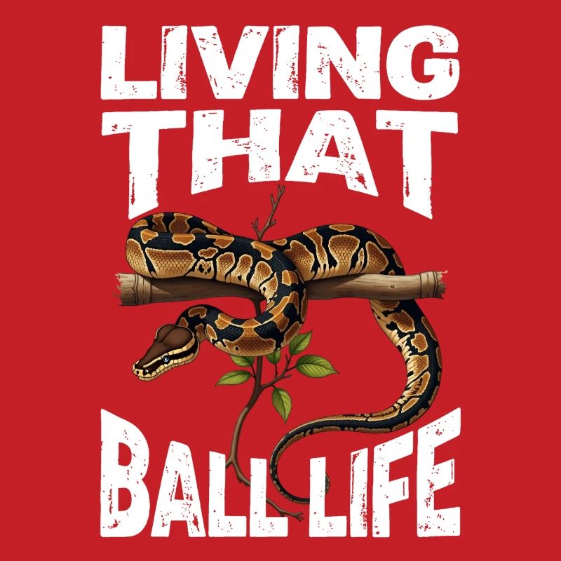 Königspython Schlangen Liebhaber Terrarium Python