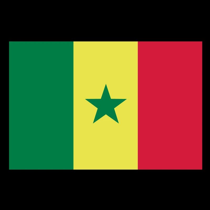 drapeau Sénégal - Senegal flag