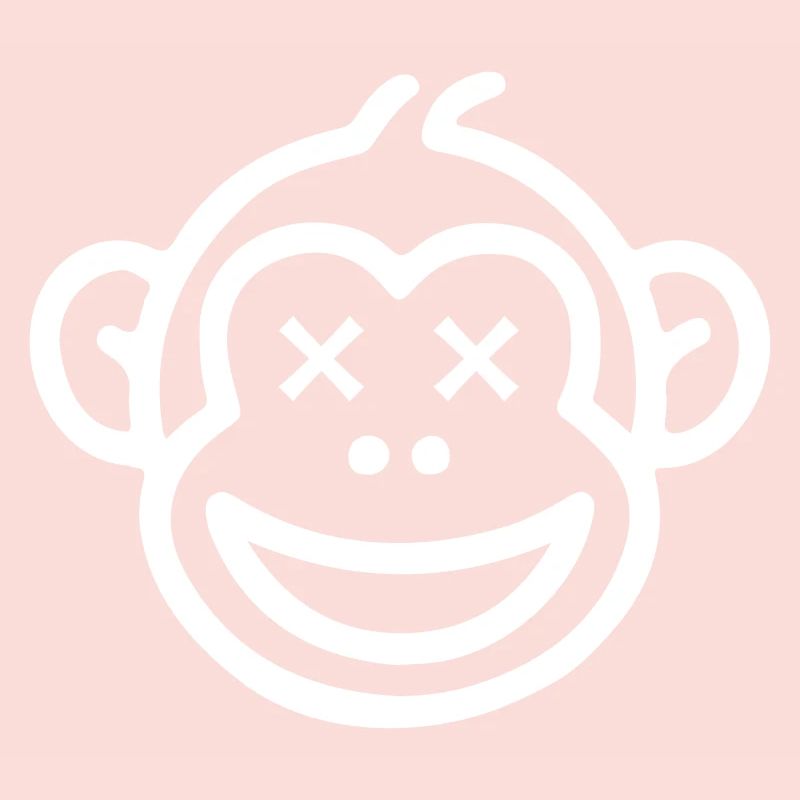 Funny Monkey