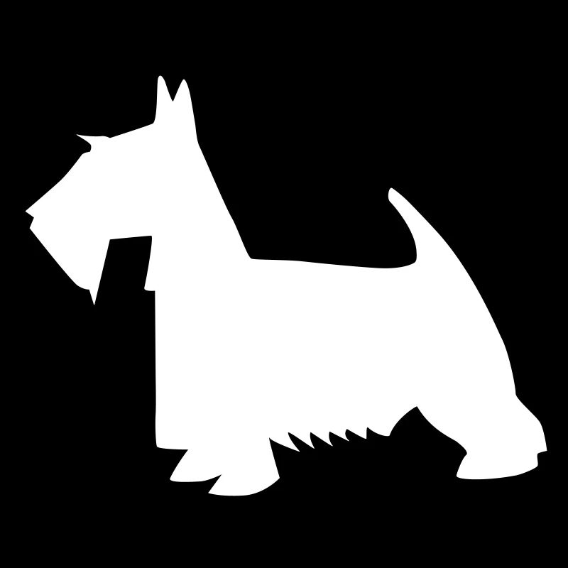 terrier écossais noir