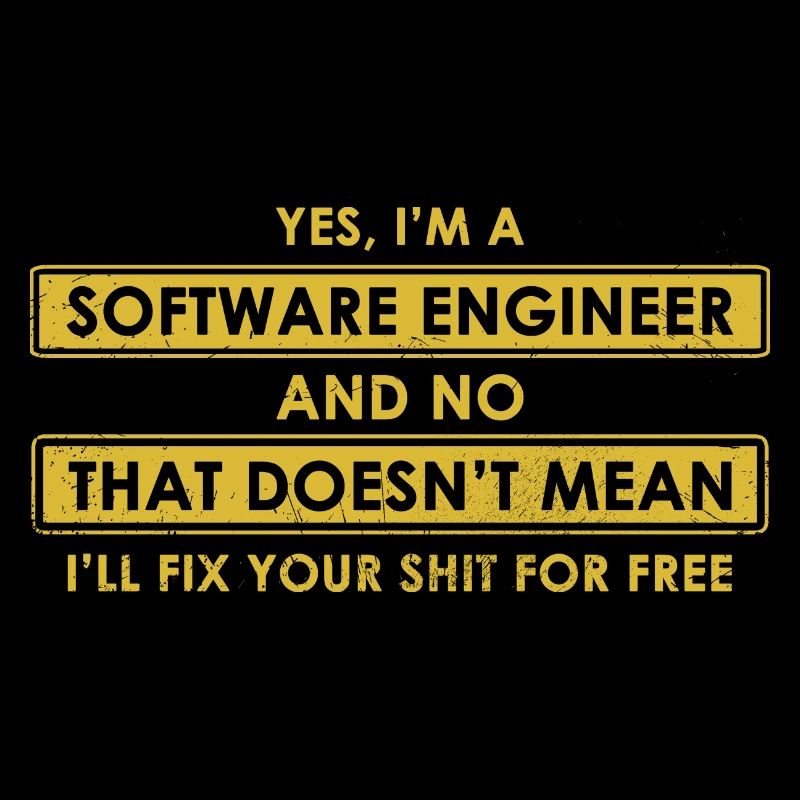 Software-Ingenieur