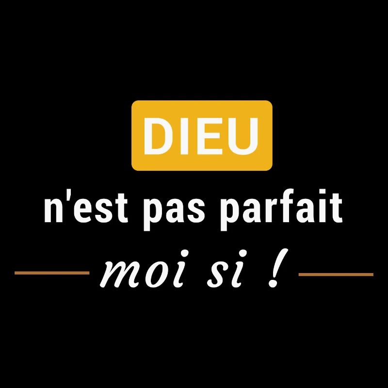 Dieu n'est pas parfait, moi si !