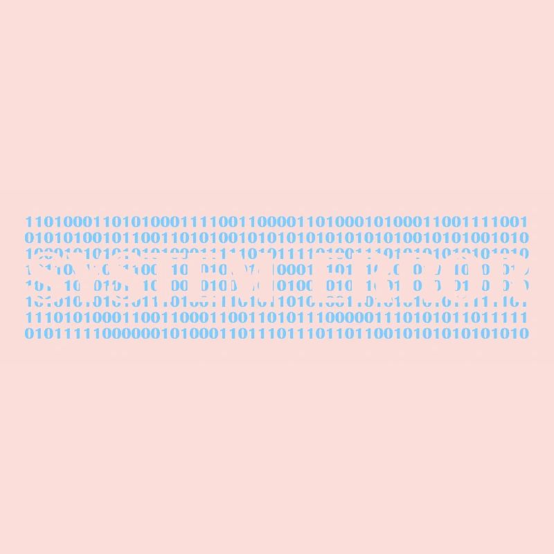 System error