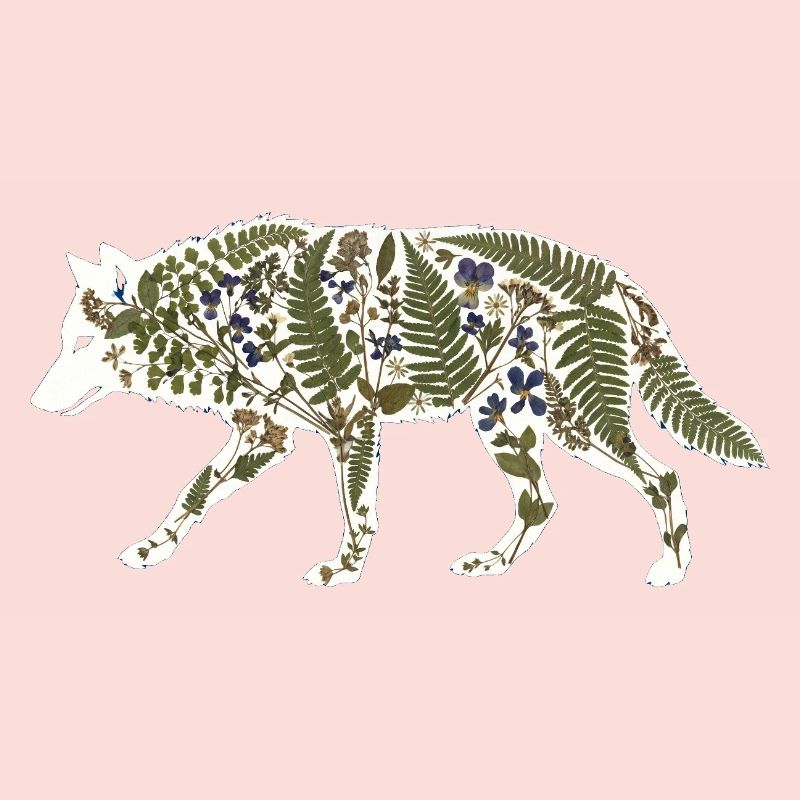 wolf botanical
